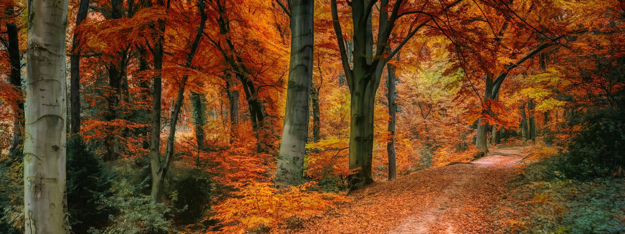 Welcome!*Explore our church